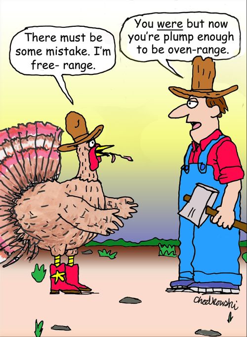 "There must be some mistake. I'm free-range."