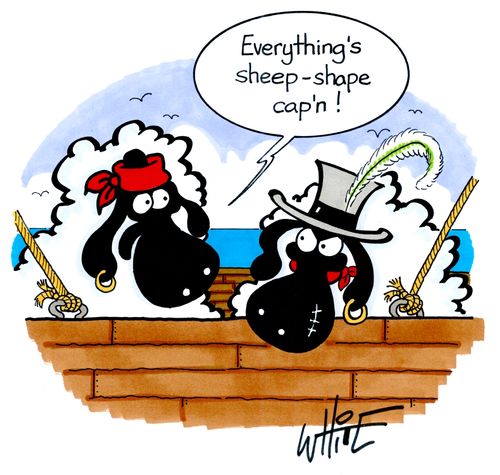 "Everything's sheep-shape cap'n!"