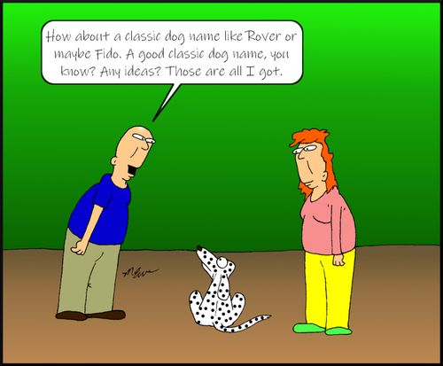  "How about a classic dog name like Rover or maybe Fido. A good classic dog name, you know? Any ideas? Those are all I got."