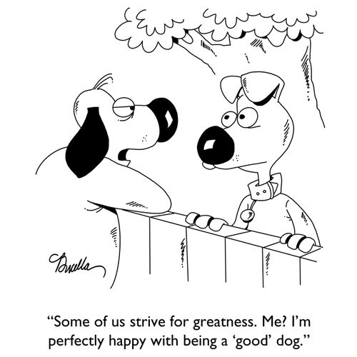 "Some of us strive for greatness. Me? I'm perfectly happy with being a 'good' dog."