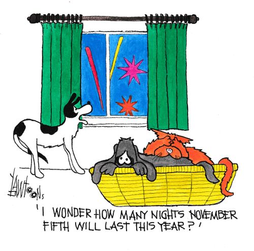 "I wonder how many nights November fifth will last this year?"