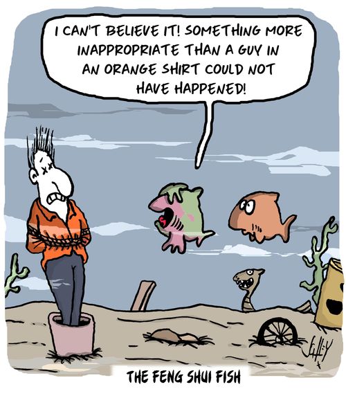 The Feng Shui Fish