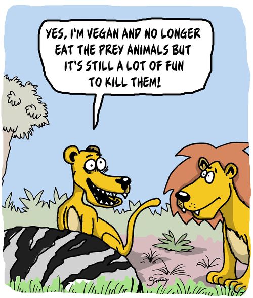 "Yes, I'm vegan and no longer eat the prey animals but it's still a lot of fun to kill them!"