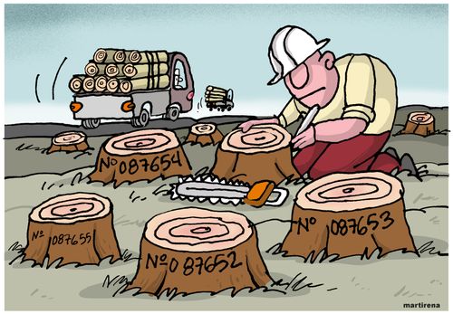 Deforestation 
