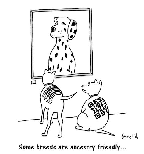 Some breeds are ancestry friendly...