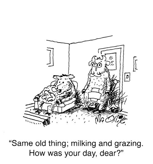 "Same old thing; milking and grazing. How was your day, dear?"