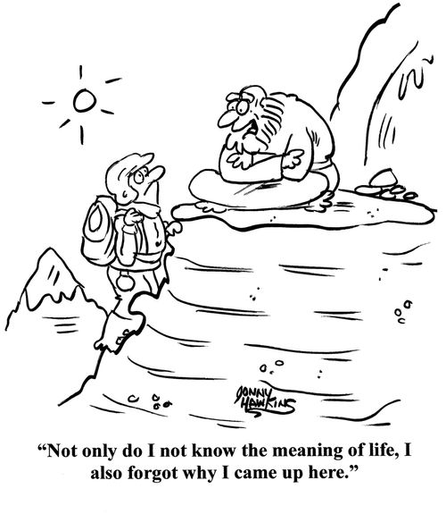 "Not only do I not know the meaning of life, I also forgot why I came up here."