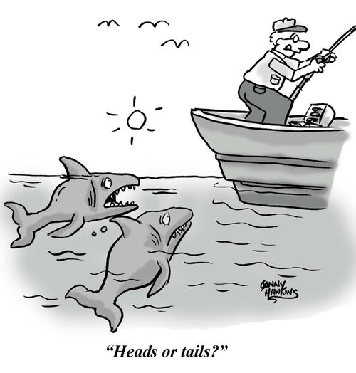 "Heads or tails?"