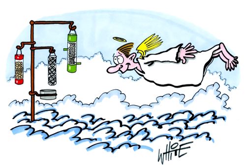 Angel Feeder