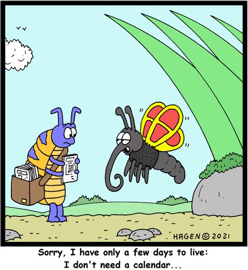 "Sorry, I have only a few days to live: I don't need a calendar. . ."