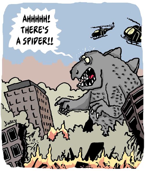 "Ahhhhh! There's a spider!!"