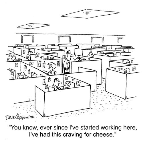 "You know, ever since I've started working here, I've had this craving for cheese."
