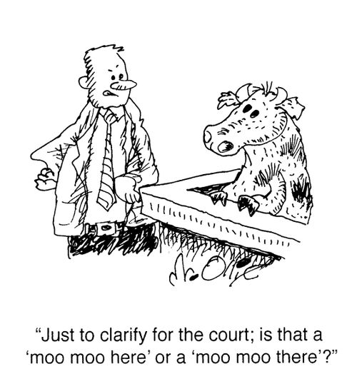 "Just to clarify for the court; is that a 'moo moo here' or a 'moo moo there'?"