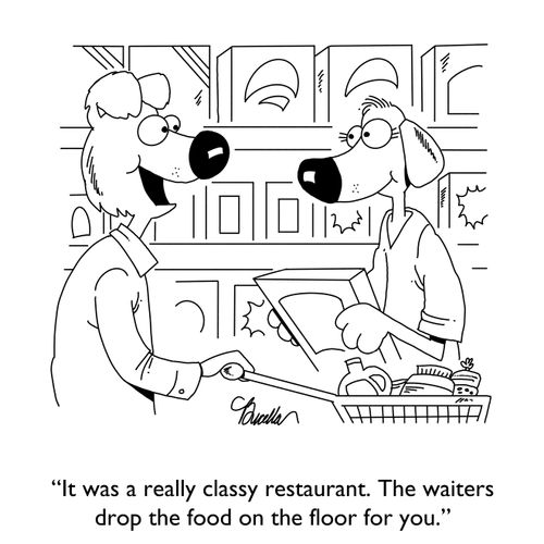 "It was a really classy restaurant. The waiters drop the food on the floor for you."
