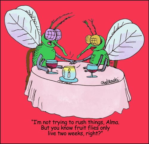 "I'm not trying to rush things, Alma. But you know fruit flies only live two weeks, right?"