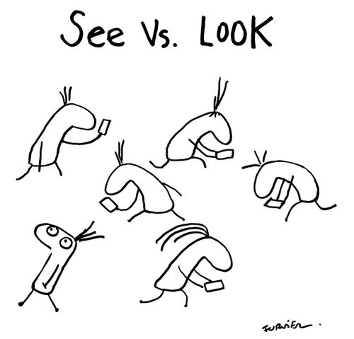 See vs. Look