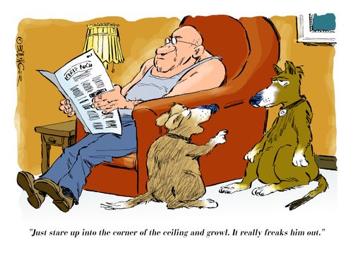 "Just stare up into the corner of the ceiling and growl. It really freaks him out."