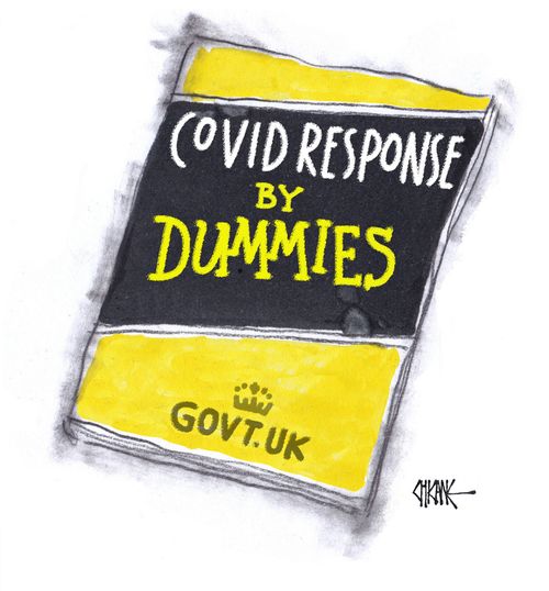 Covid Response by Dummies