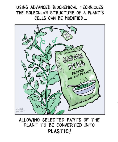 Genetic modification creating plastic from plant cellulose.