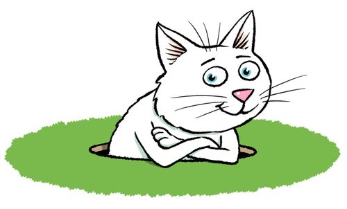 A white cat in a hole