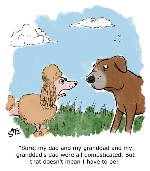 "Sure, my dad and my granddad and my granddad's dad were all domesticated. But that doesn't mean I have to be."