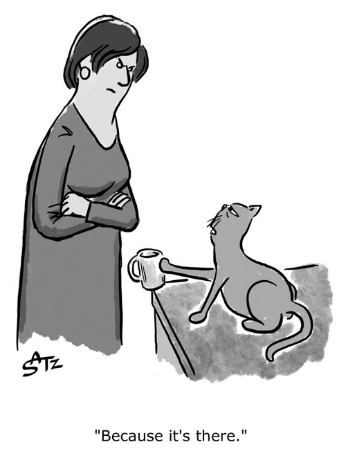 "Because it's there."