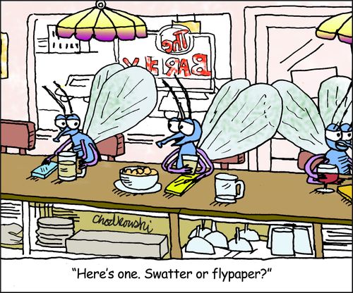 "Here's one. Swatter or flypaper?"