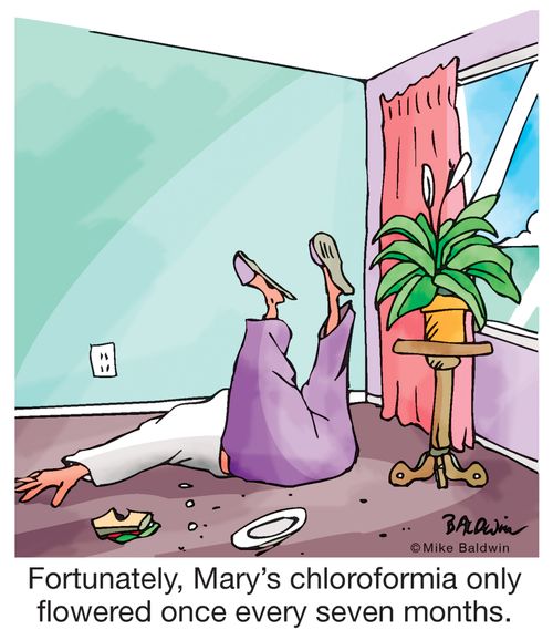 Fortunately, Mary's chloroformia only flowered once every seven months."