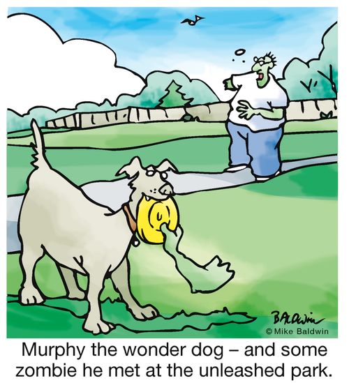 "Murphy the wonder dog - and some zombie he met at the unleashed park."