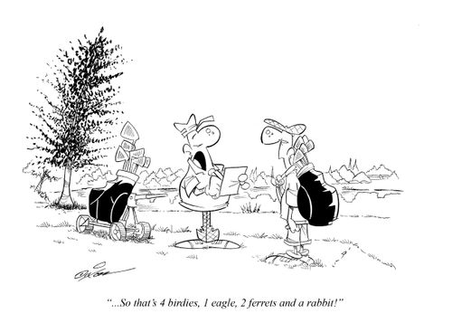 ". . . So that's 4 birdies, 1 eagle, 2 ferrets and a rabbit!"