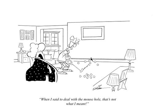 "When I said to deal with the house hole, that's not what I meant!"