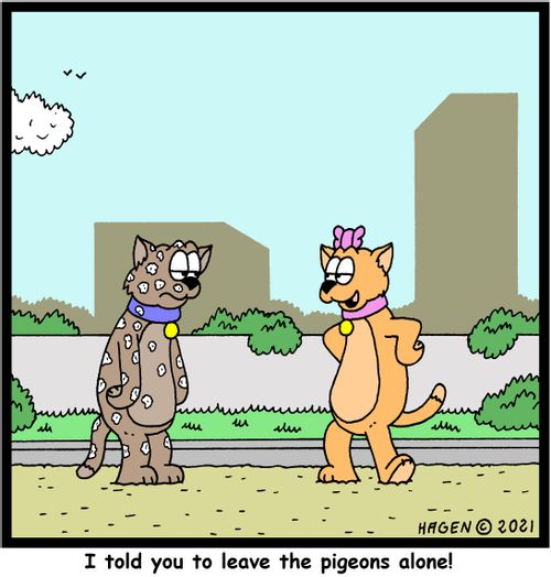"I told you to leave the pigeons alone!"