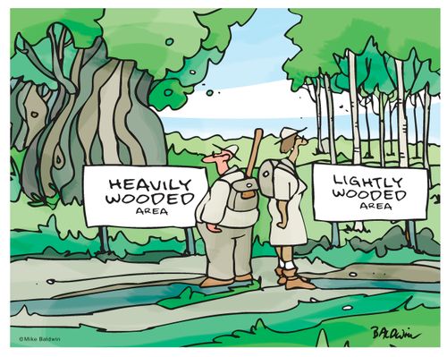 Wooded area signs