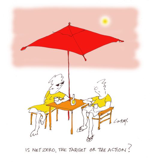 "Is net zero, the target or the action?"