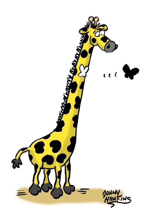 Flying Giraffe Blotch