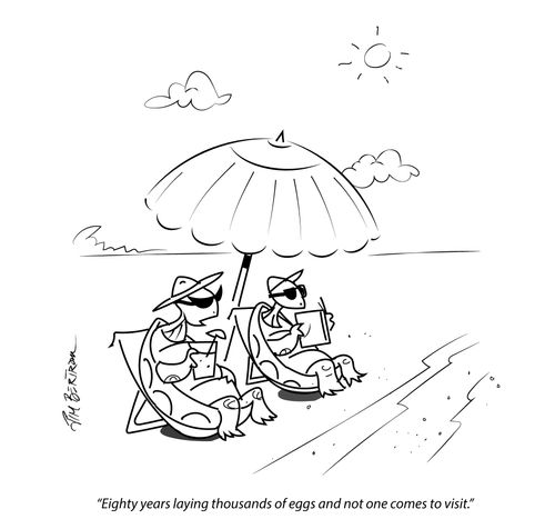 "Eighty years laying thousands of eggs and not one comes to visit."