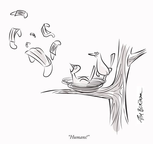 "Humans!"