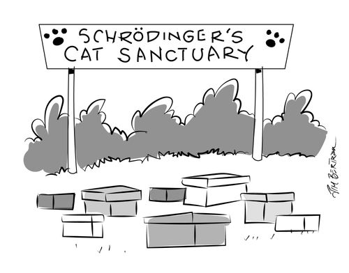 Schrodinger's Cat Sanctuary