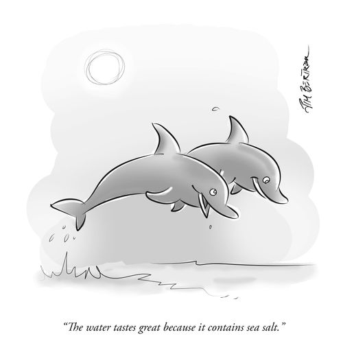 "The water tastes great because it contains sea salt."