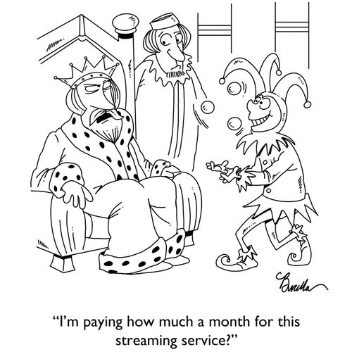 "I'm paying how much a month for this streaming service?"