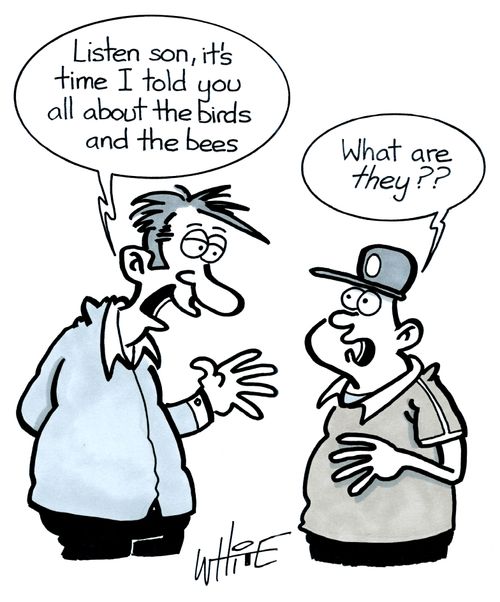 "Listen son, it's time I told you all about the birds and the bees."