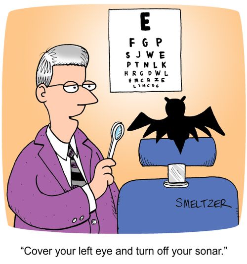 "Cover your left eye and turn off your sonar."