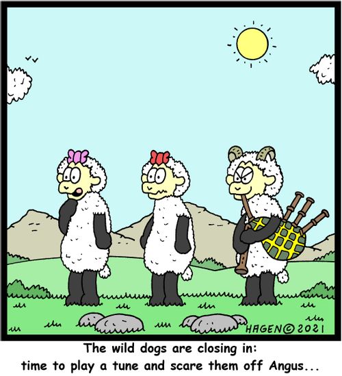"The wild dogs are closing in: time to play and tune and scare them off Angus..."