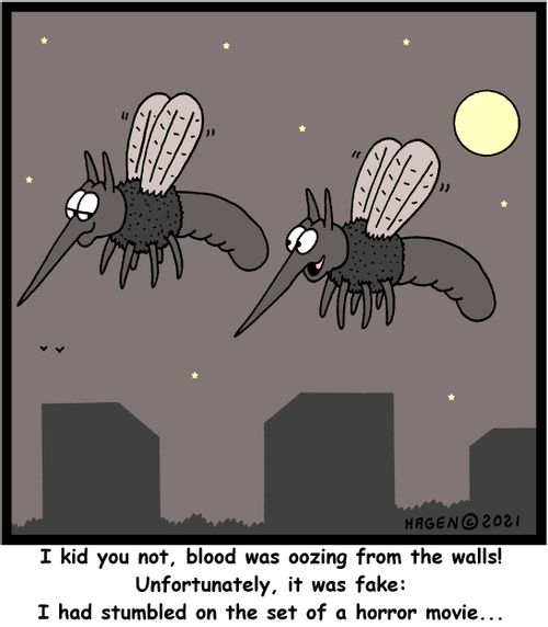 "I kid you not, blood was oozing from the walls! Unfortunately, it was fake: I had stumbled on the set of a horror movie..."