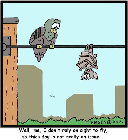"Well, me, I don't rely on sight to fly, so thick fog is not really an issue."