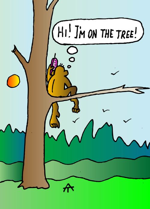 "Hi! I'm on the tree!"