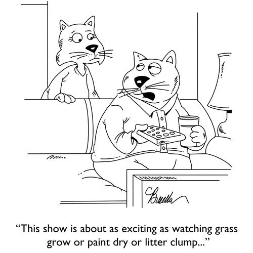 "This show is about as exciting as watching grass or paint dry or litter clump..."
