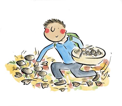 Mushroom Foraging