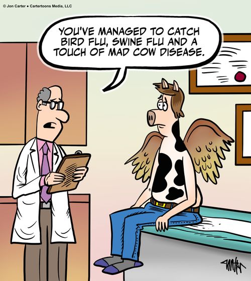 "You've managed to catch bird flu, swine flu and a touch of mad cow disease."