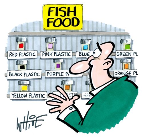 Fish Food